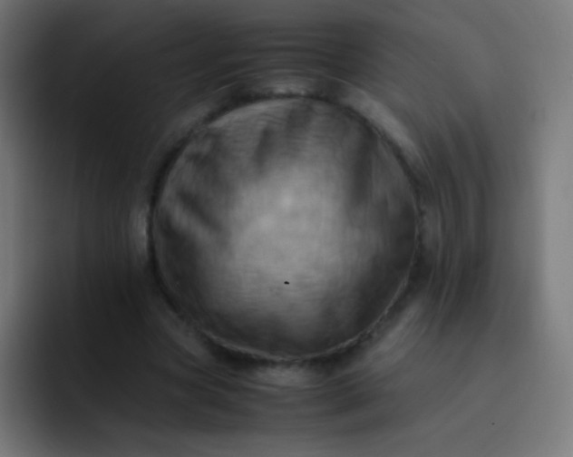X0000093240537200710101423