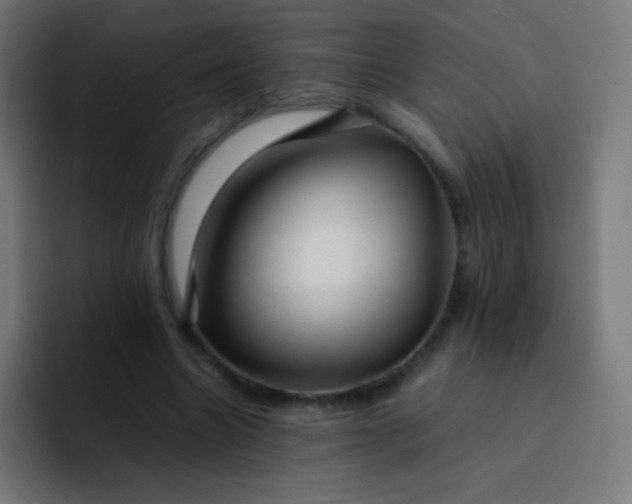 X0000093240538200710101423