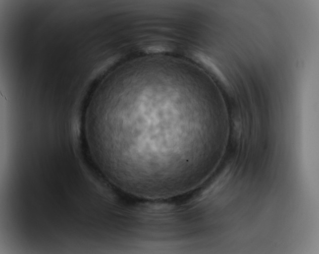 X0000093240539200710101423