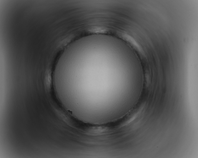 X0000093240541200710101423