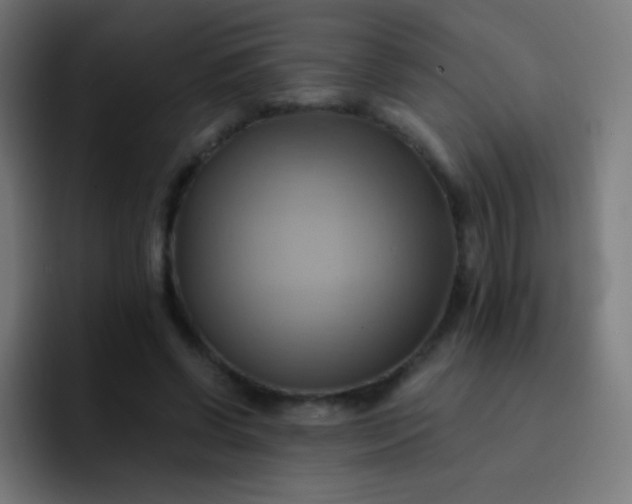 X0000093240542200710101423