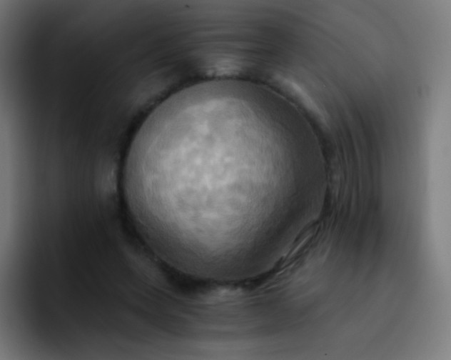 X0000093240543200710101423