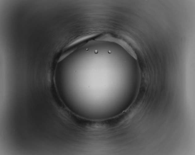 X0000093240546200710101423