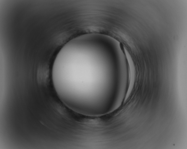 X0000093240548200710101423