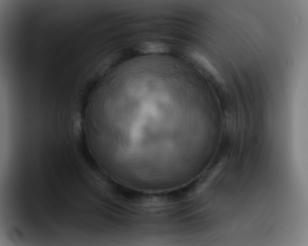 X0000093240549200710101424