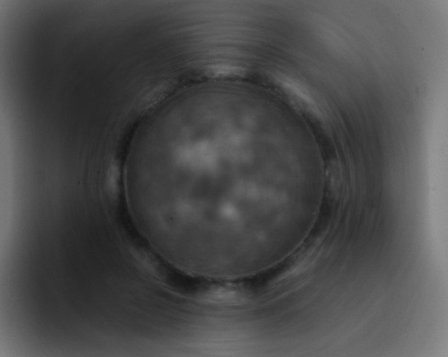 X0000093240550200710101424