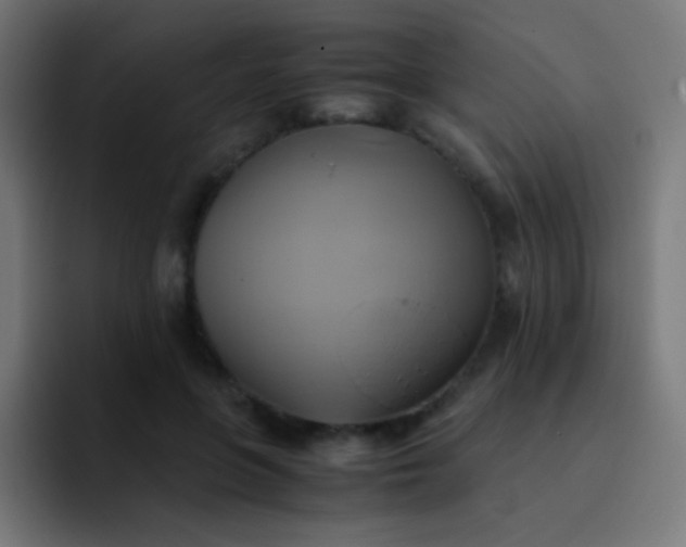 X0000093240551200710101424