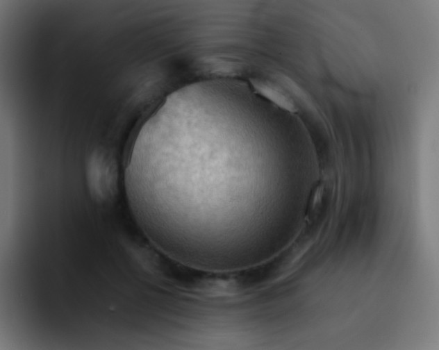 X0000093240552200710101424