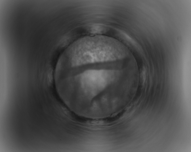 X0000093240554200710101424