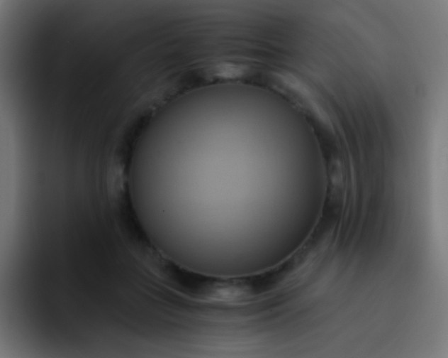 X0000093240555200710101424