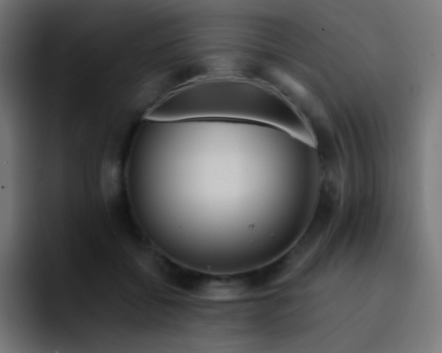 X0000093240556200710101424