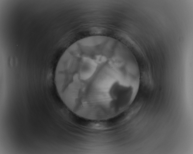 X0000093240557200710101424