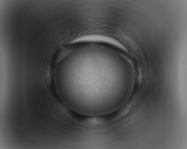 X0000093240558200710101424