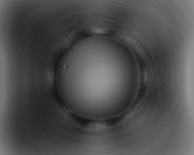 X0000093240559200710101424
