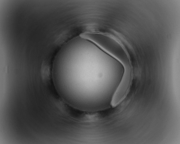 X0000093240560200710101424