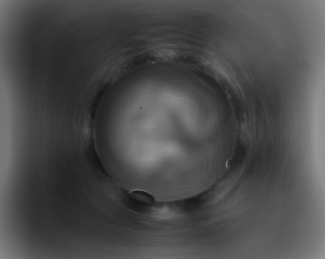 X0000093240561200710101424