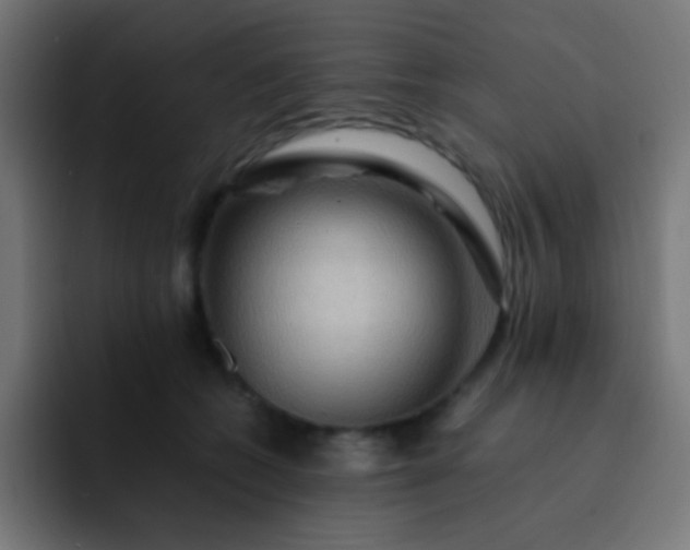 X0000093240562200710101424