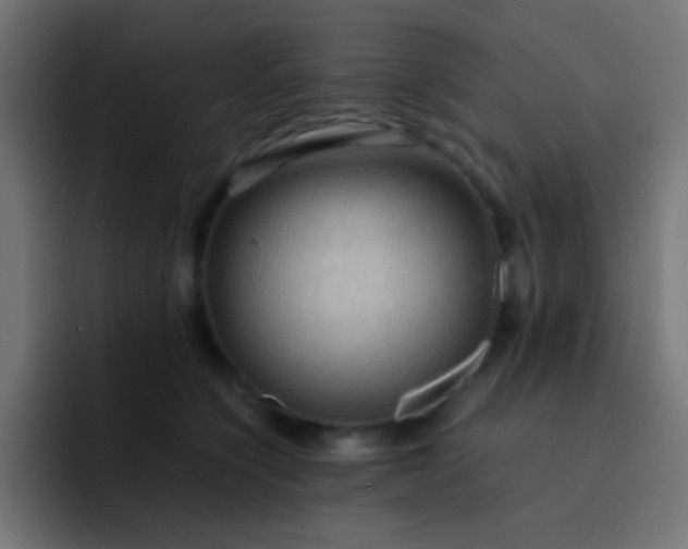 X0000093240564200710101424