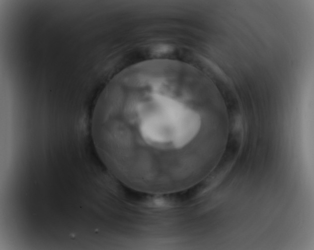 X0000093240565200710101424
