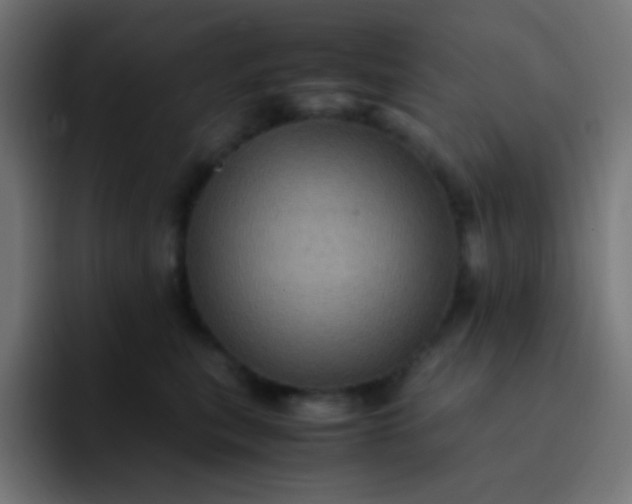 X0000093240567200710101424
