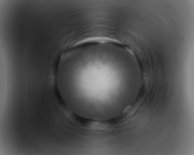 X0000093240568200710101424