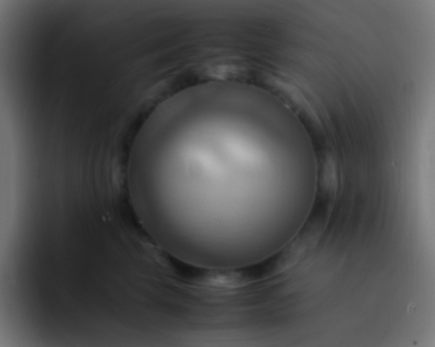 X0000093240569200710101424