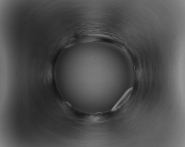 X0000093240570200710101424