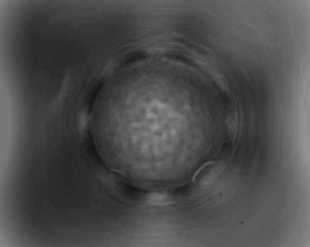 X0000093240574200710101424
