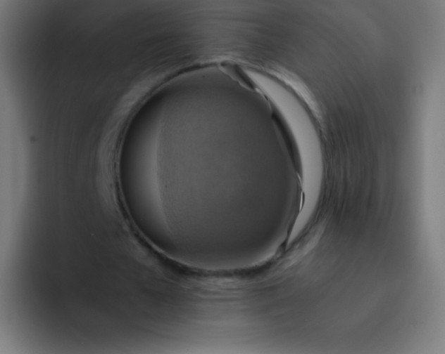 X0000093240577200710101423