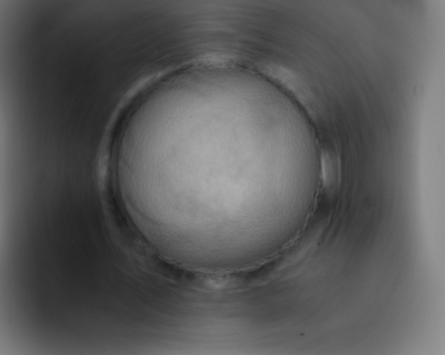 X0000093240579200710101423