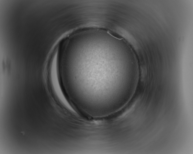 X0000093240580200710101423
