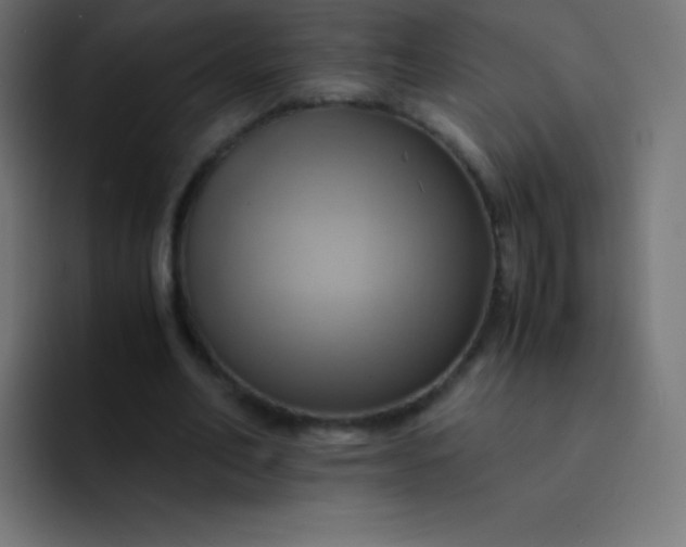 X0000093240582200710101423