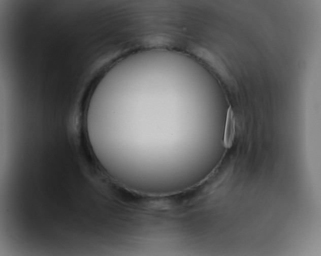 X0000093240583200710101423