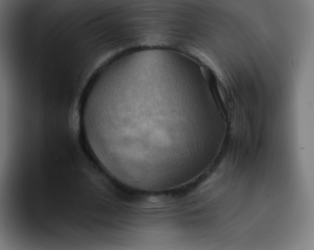 X0000093240584200710101423