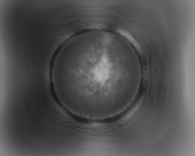 X0000093240585200710101423