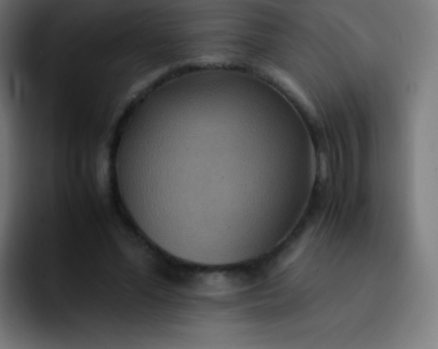 X0000093240588200710101423