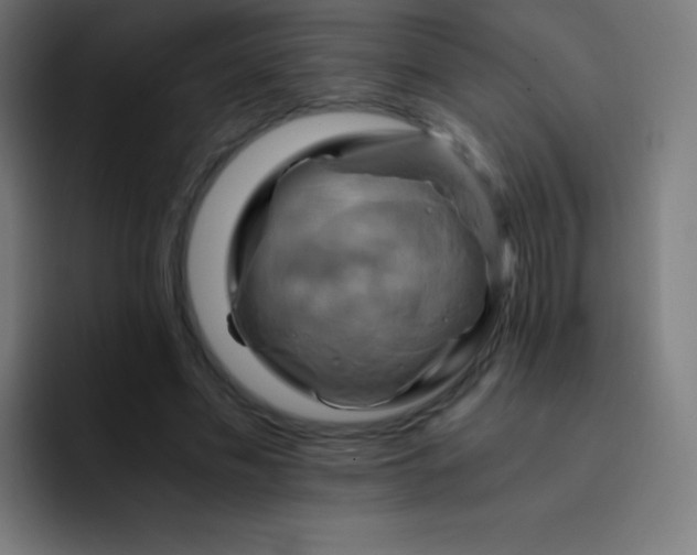 X0000093240589200710101423