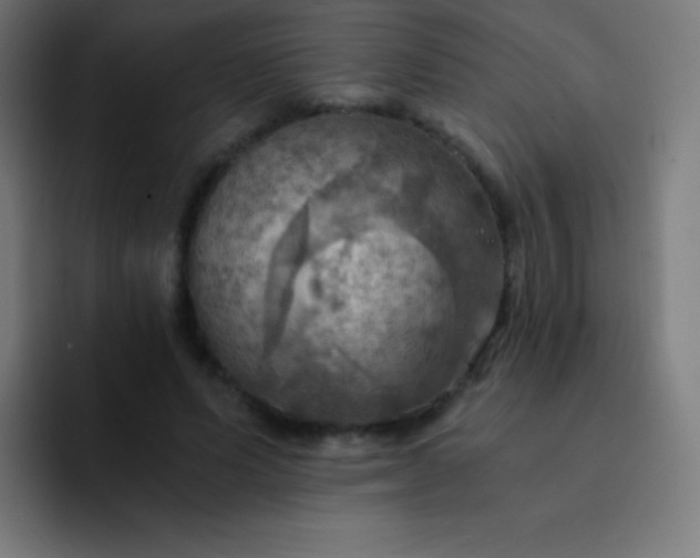 X0000093240591200710101423