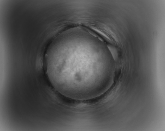 X0000093240593200710101423