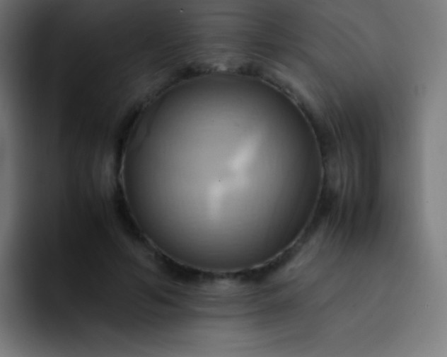 X0000093240594200710101423