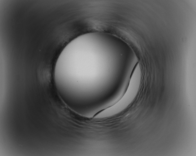 X0000093240595200710101423