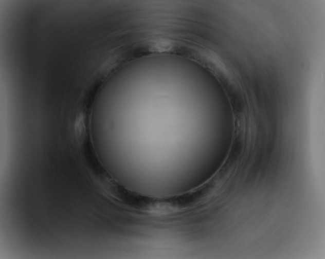 X0000093240598200710101423