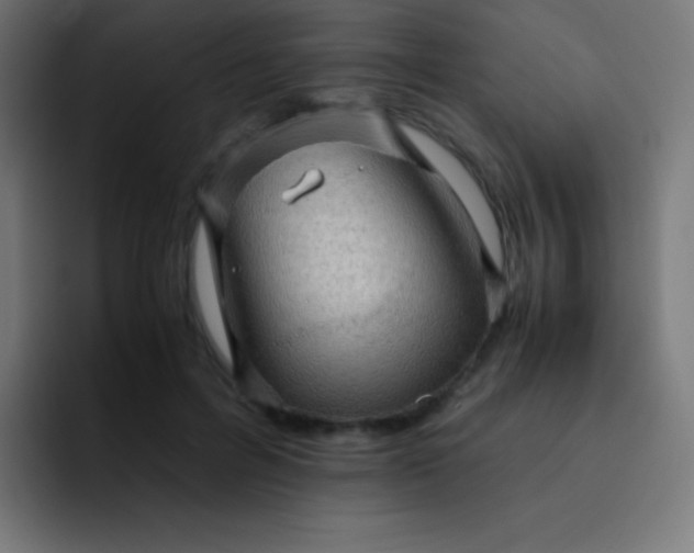 X0000093240600200710101423