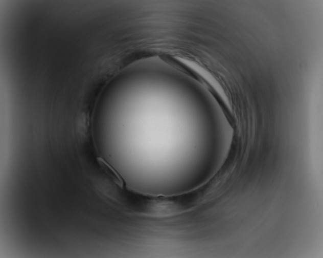 X0000093240605200710101423