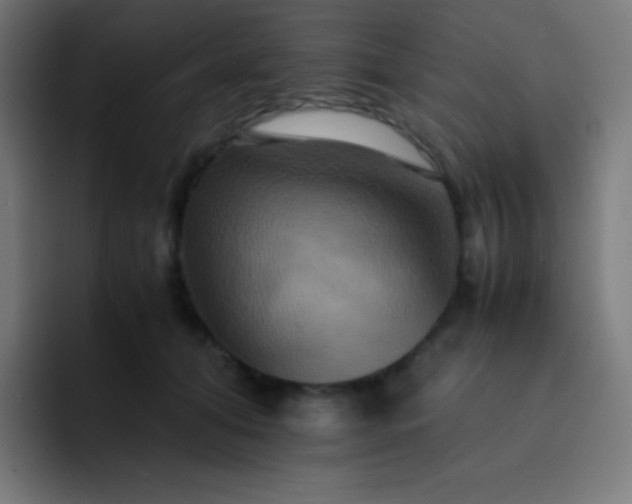 X0000093240608200710101423
