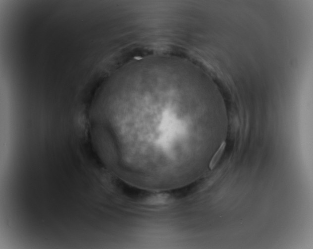 X0000093240609200710101423