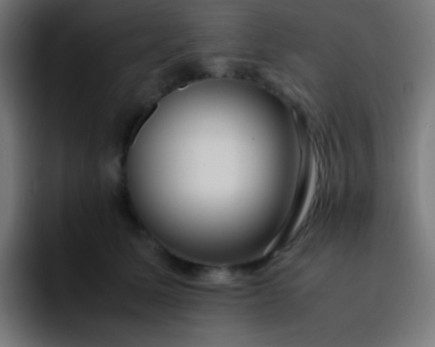 X0000093240611200710101423