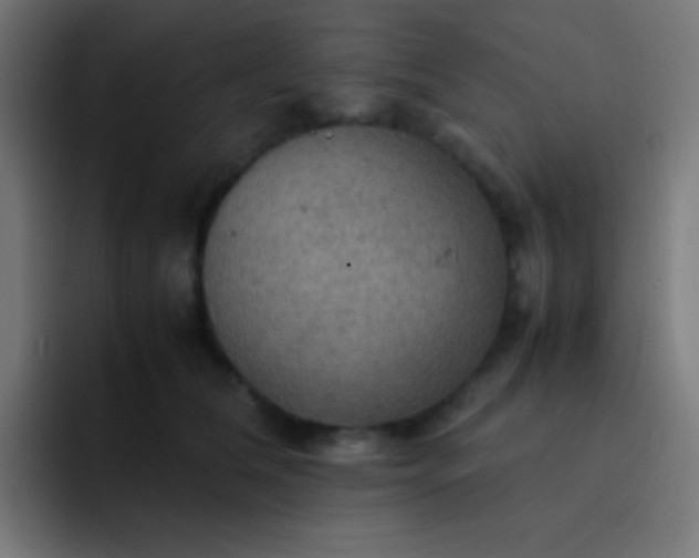 X0000093240612200710101423