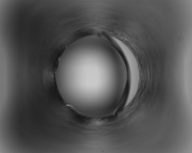 X0000093240613200710101423