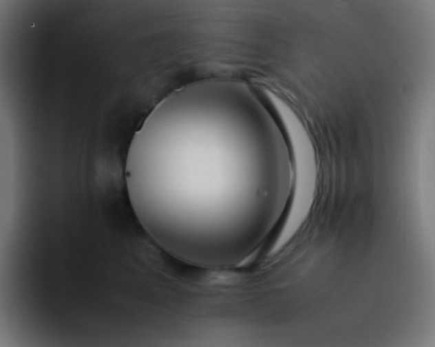 X0000093240617200710101423
